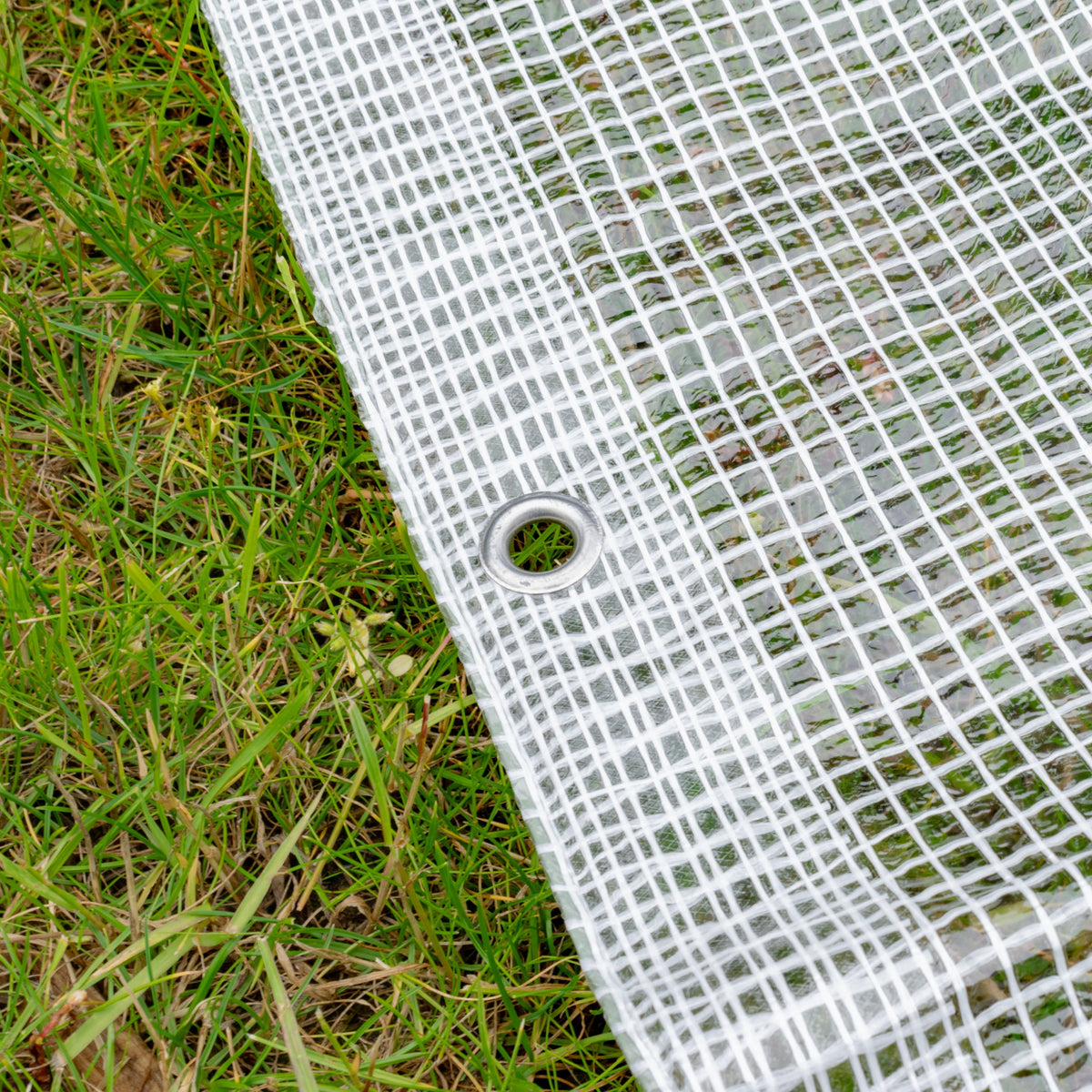Clear XL-Grade Tarpaulin 5m x 6m