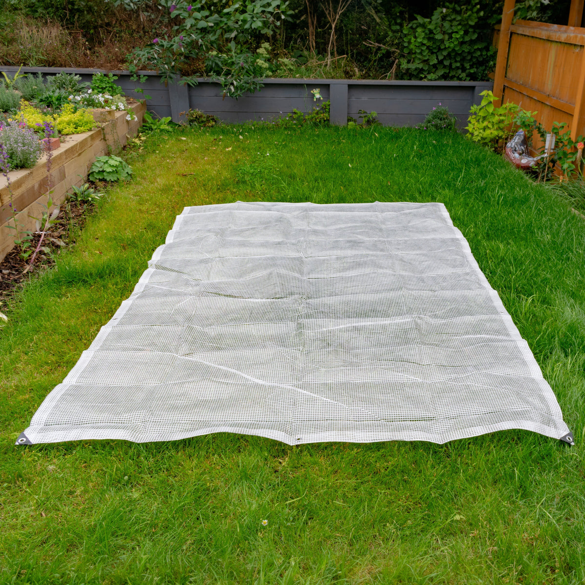 Clear XL-Grade Tarpaulin 6m x 8m