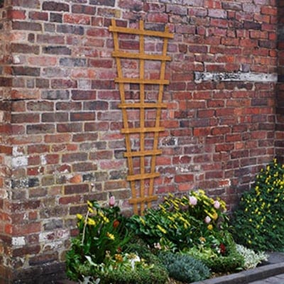 Forest Heavy Duty Fan Trellis 183cm x 66cm