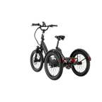 XP Trike2 Tempest Grey eTrike