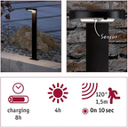 Outdoor Solar Bollard Ryse IP44 3000K 100lm Motion Sensor