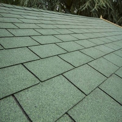 Forest Blakedown 6m x 4m Log Cabin - Apex Roof, Double Glazed Felt Shingles (Plus Underlay)