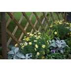 Forest Venice Planter