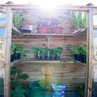 Forest Victorian Tall Wall Greenhouse with Auto Vent