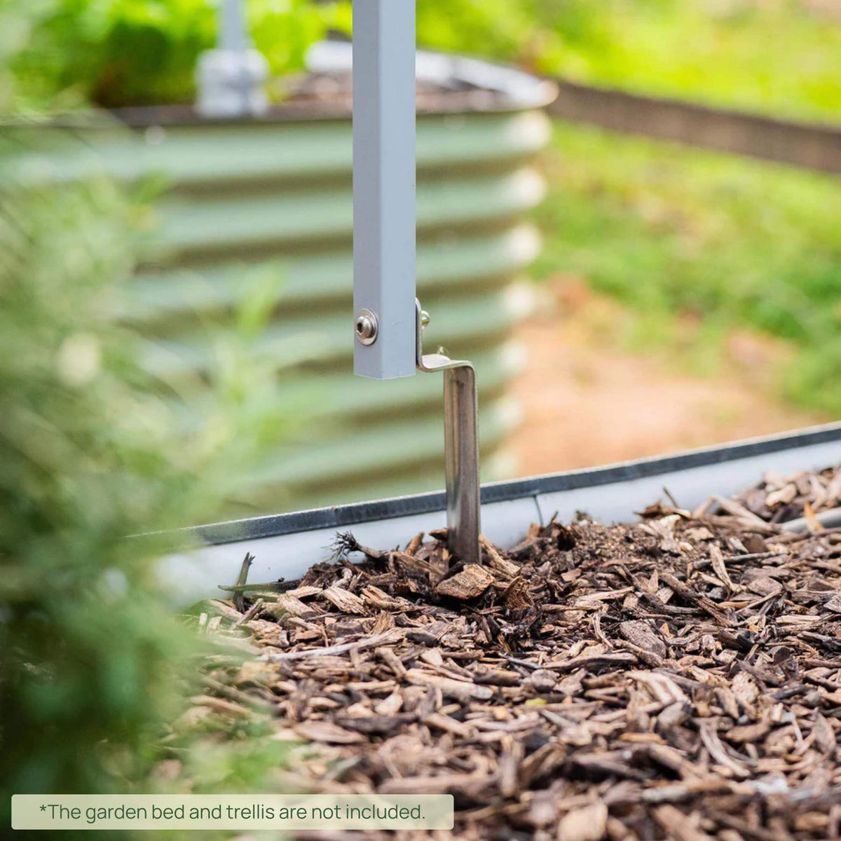 Vego Trellis Anchors