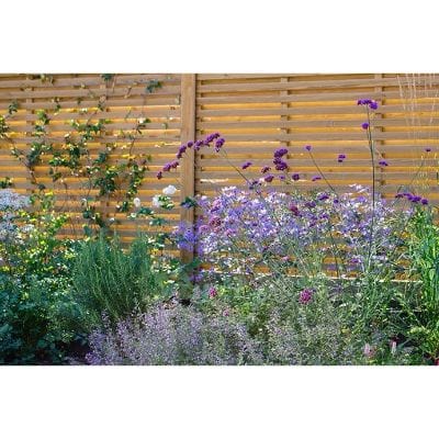 Frameless Venetian Hit and Miss Fence Panel - All Sizes
