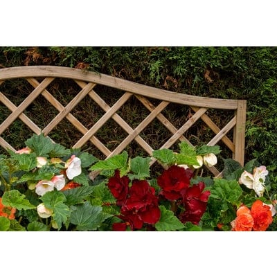 Forest Venice Planter