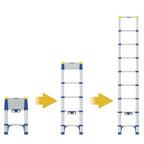 Werner Telescopic Soft Close Extension Ladder - All Sizes