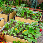16" Tall Woodgrain 4' x 4' Metal Raised Garden Bed