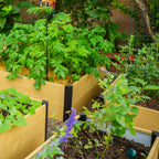 16" Tall Woodgrain 4' x 8' Metal Raised Garden Bed