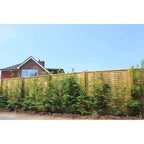 Woven Fence Panel - All Sizes