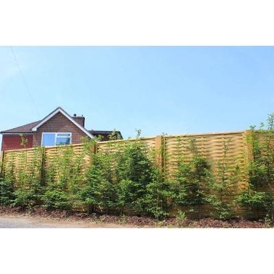 Woven Fence Panel - All Sizes