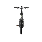 XP4 750 Pine Green eBike