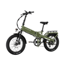 XP4 750 Pine Green eBike