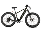 XPeak2 High-Step Long-Range eBike