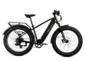 XPeak2 High-Step eBike