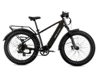 XPeak2 High-Step Long-Range eBike
