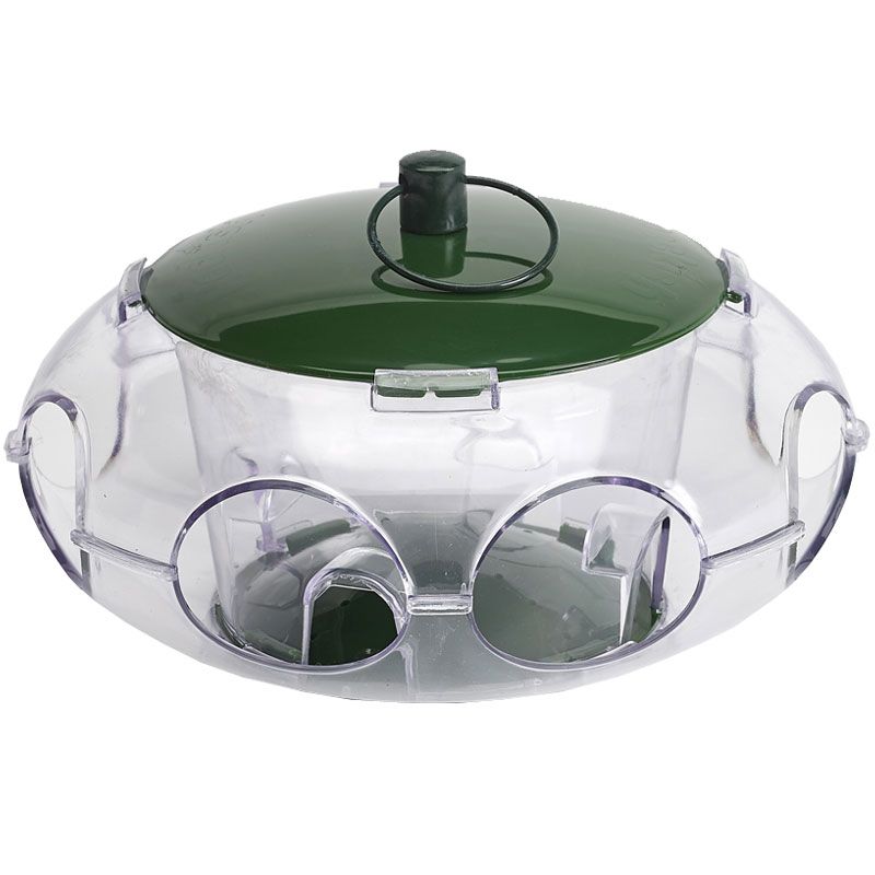 Peckish Small Bird Feeder for Colorful Garden Birds