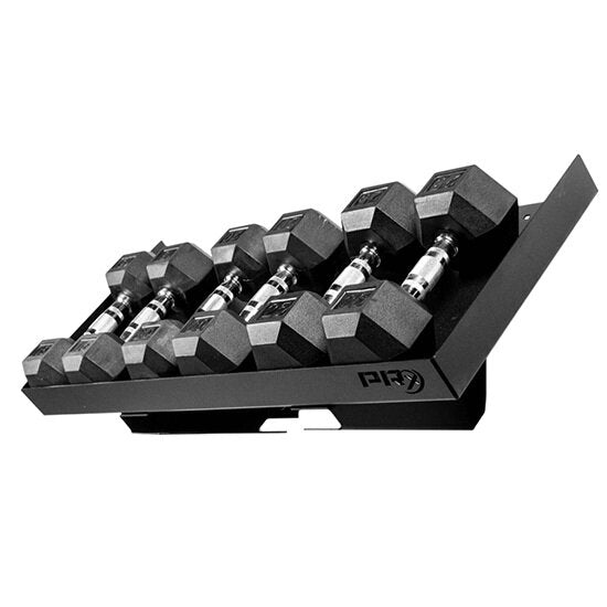 Garage Sale Profile® Dumbbell Storage