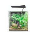 Aqua One AquaNano 30 Aquarium