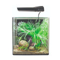 Aqua One AquaNano 40 Aquarium