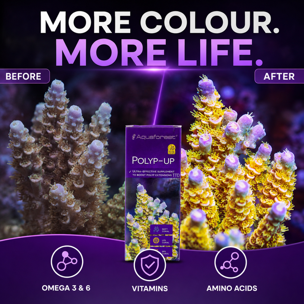 Aquaforest Polyp-Up 50ml Coral Supplement