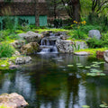 Aquascape Large Pond Kit 21' x 26' With Aquasurge 4000-8000 Pond Pump
