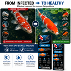 Colombo FMC-50 Pond Fish Treatment – White Spot & Fungal Remedy