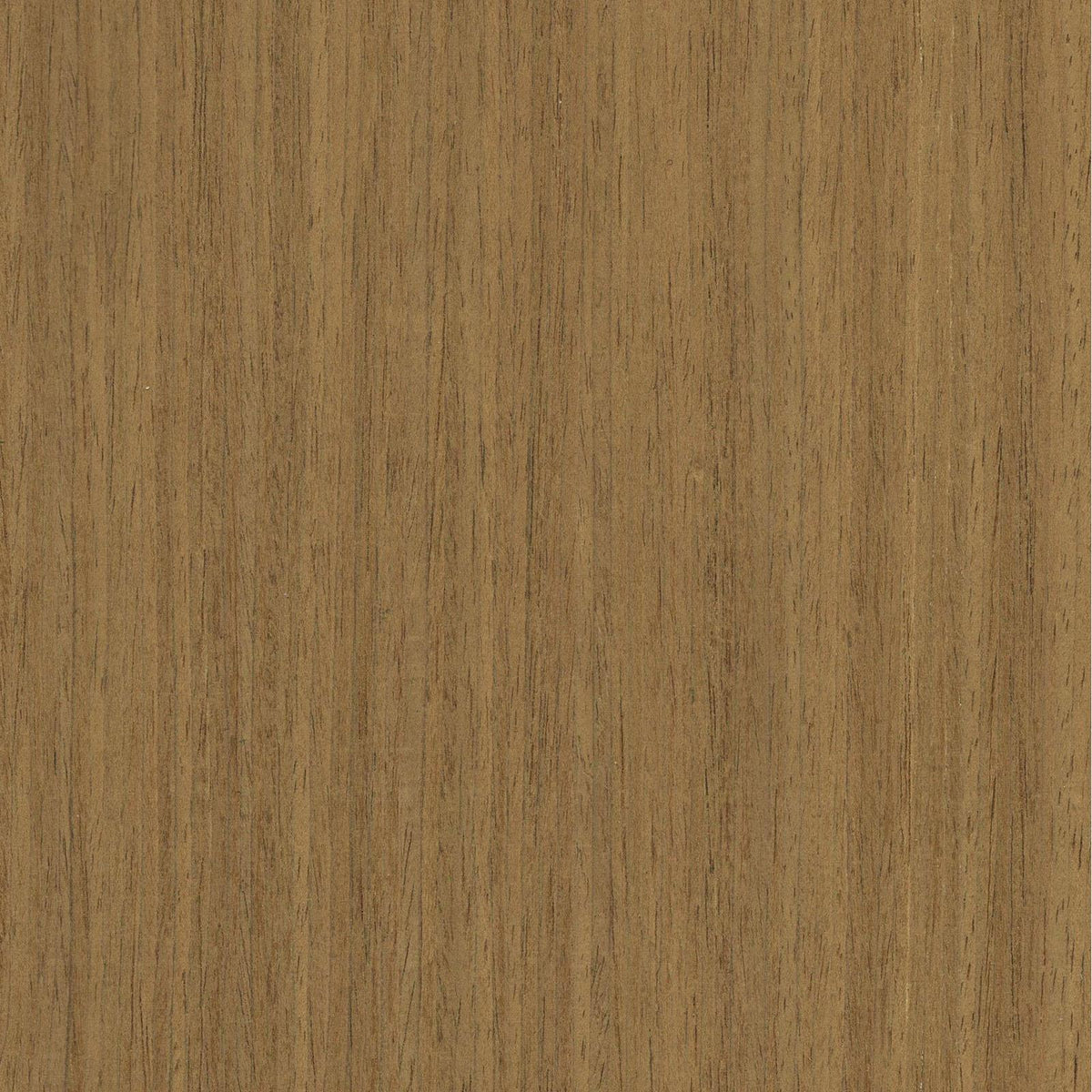 Zest Acoustic Wall Panel