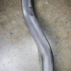 PRx E-Z Curl Barbell
