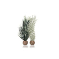 Biorb Ambulia Grey/Green - Small