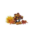 Biorb Autumn Decor Set for 15L Biorbs
