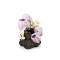 BiOrb  Barnacle Ornament Small Pink
