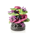 Biorb Coral Ridge Ornament Green & Purple