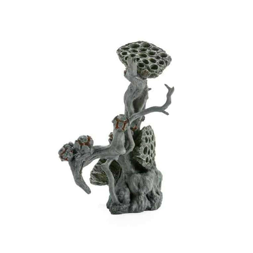 Biorb Earth Large Lotus Seedpod on Root Decoration