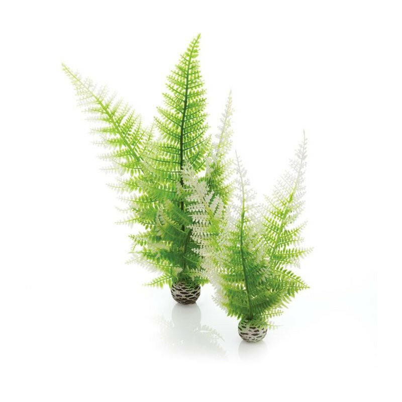 BiOrb Easy Plants -  Winter Fern (Medium x 2)