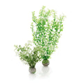 BiOrb Easy Plants -  Winter Flowers (Medium x 2)