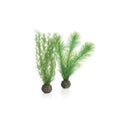 Biorb Feather Fern Set - Small