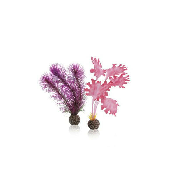 Biorb Pink Kelp Set - Small