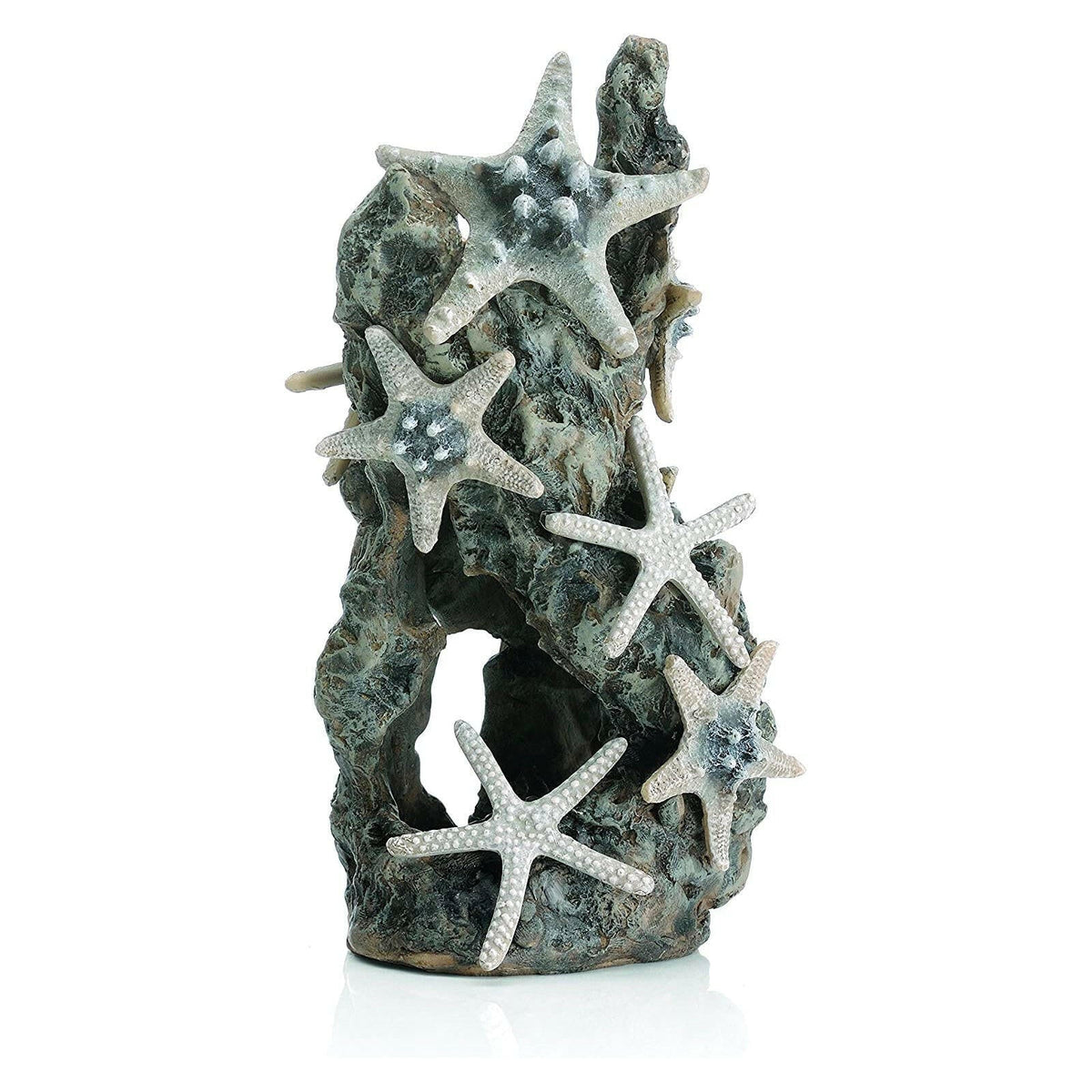 BiOrb Sea Stars on a Rock Sculpture
