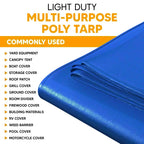 Blue Poly Tarps 6' x 20' - Case of 15