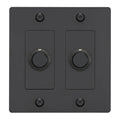 Buster + Punch NDK-024305 Linear 2-Gang LED Dimmer Without Logo, 250W, Rotary, Black