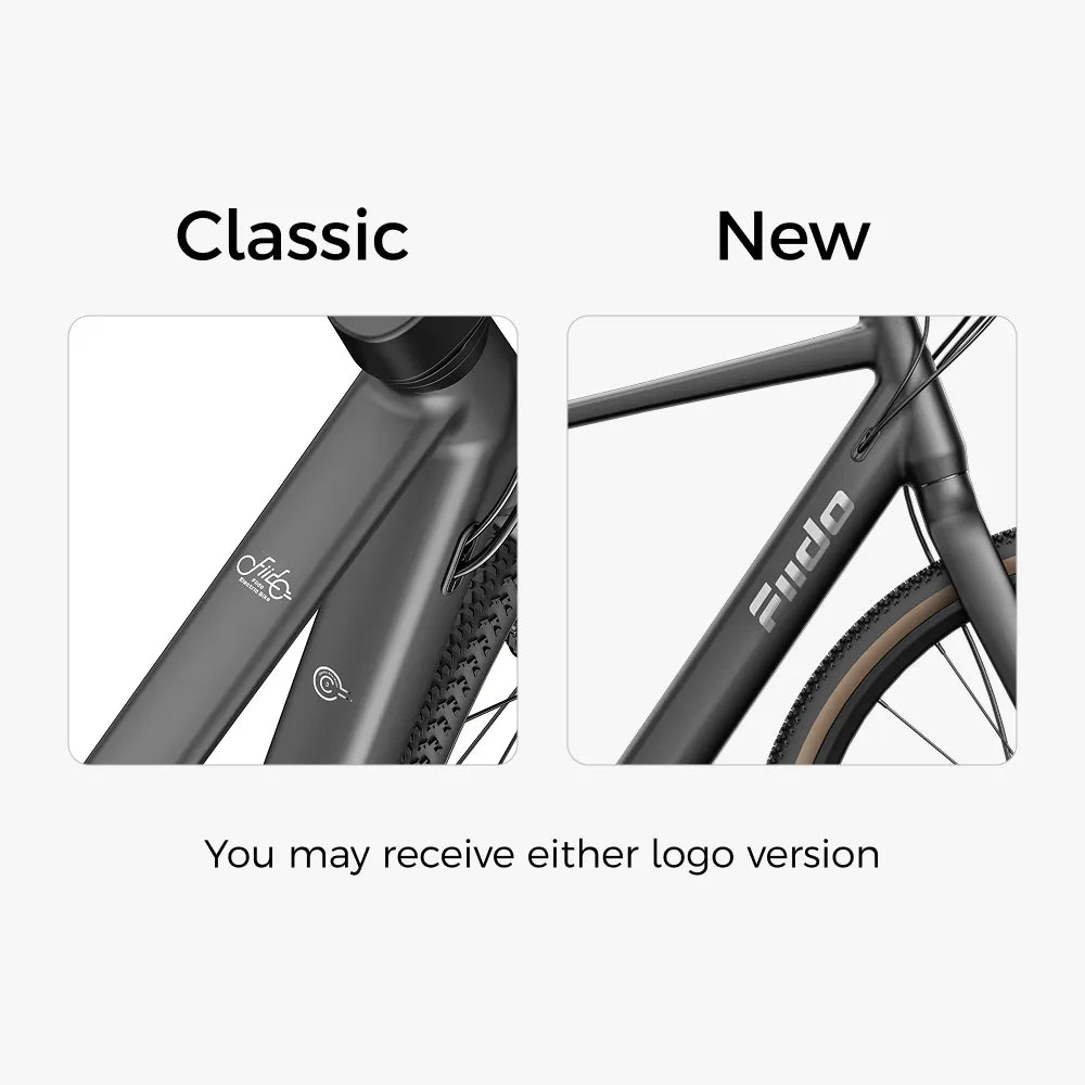 Fiido C21 E-Gravel & City E-Bike
