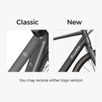 Fiido C21 E-Gravel & City E-Bike