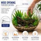 Glass Fish Bowls 23 & 30 - Versatile Decorative Pieces