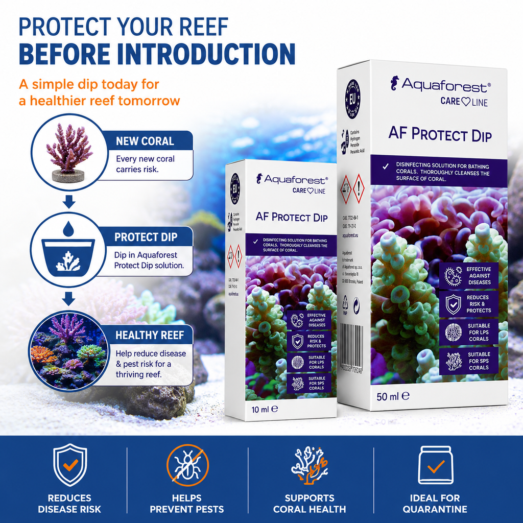 Aquaforest Protect Dip Marine Aquarium Coral Pest & Disease Treatment 10ml 50ml