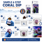 Aquaforest Protect Dip Marine Aquarium Coral Pest & Disease Treatment 10ml 50ml