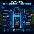 AQUADIP Active Start – Fast-Acting Bacterial Booster for Aquarium Stability