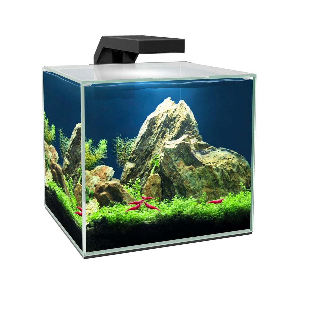 Ciano Cube 15 Aquarium