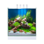 Ciano Nexus Pure 25 Aquarium